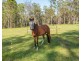 74 Rodeo Drive, Kundabung NSW 2441