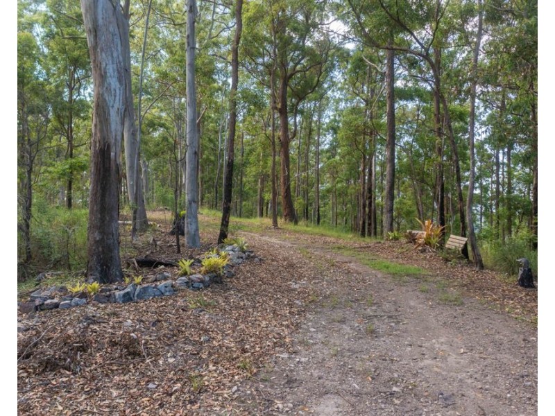 6295 Oxley Highway, Yarras NSW 2446