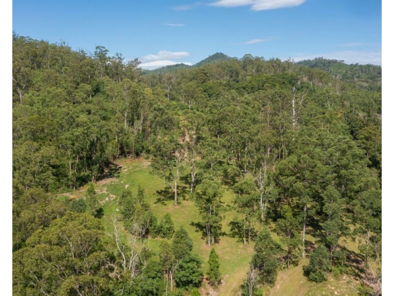 6295 Oxley Highway, Yarras NSW 2446