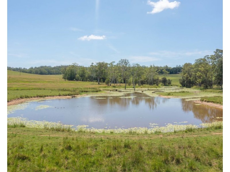 Herons Creek NSW 2443