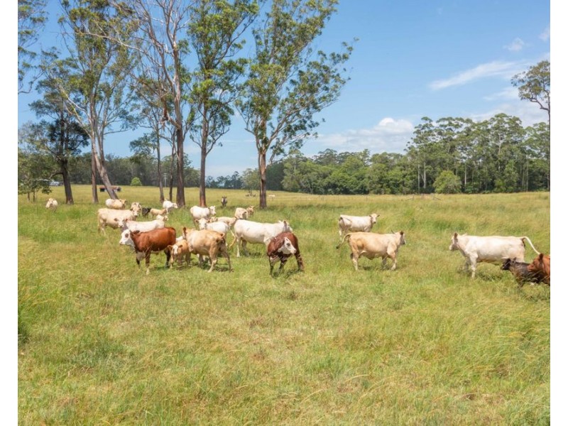 Herons Creek NSW 2443