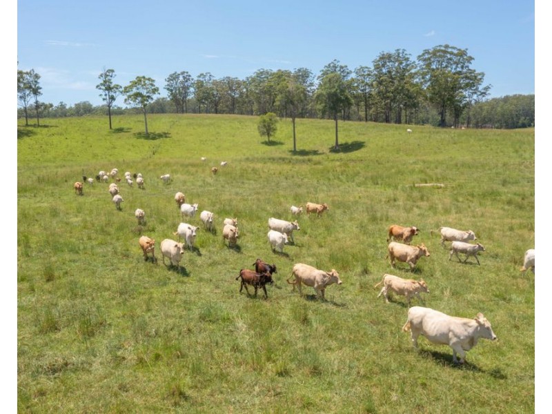 Herons Creek NSW 2443