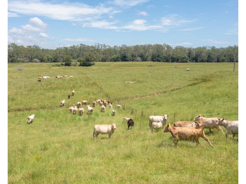 Herons Creek NSW 2443