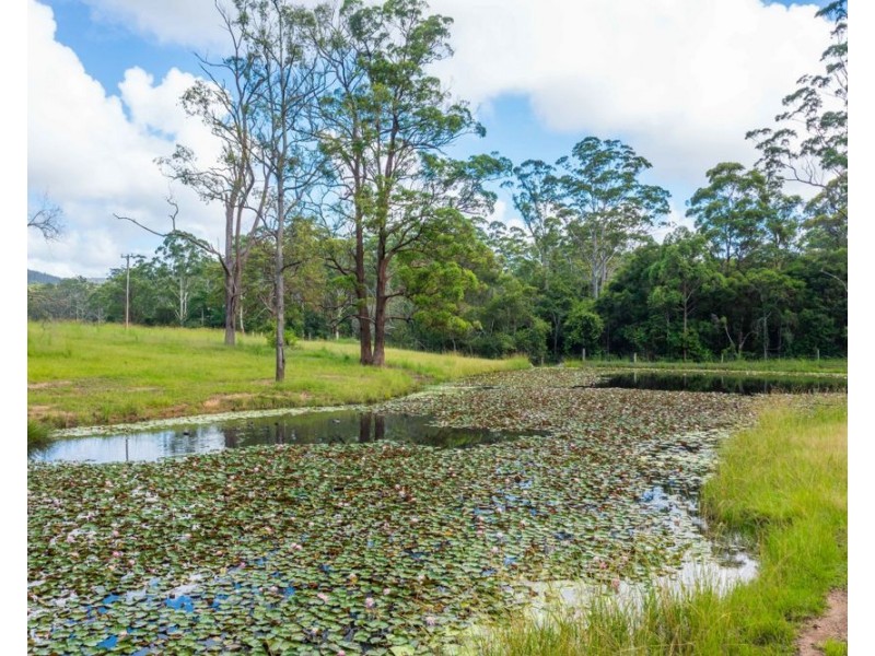 876 SMITHS CREEK ROAD, Kundabung NSW 2441