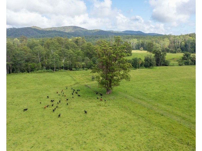 876 SMITHS CREEK ROAD, Kundabung NSW 2441