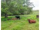 876 SMITHS CREEK ROAD, Kundabung NSW 2441