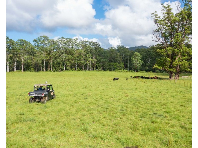 876 SMITHS CREEK ROAD, Kundabung NSW 2441