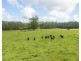 876 SMITHS CREEK ROAD, Kundabung NSW 2441