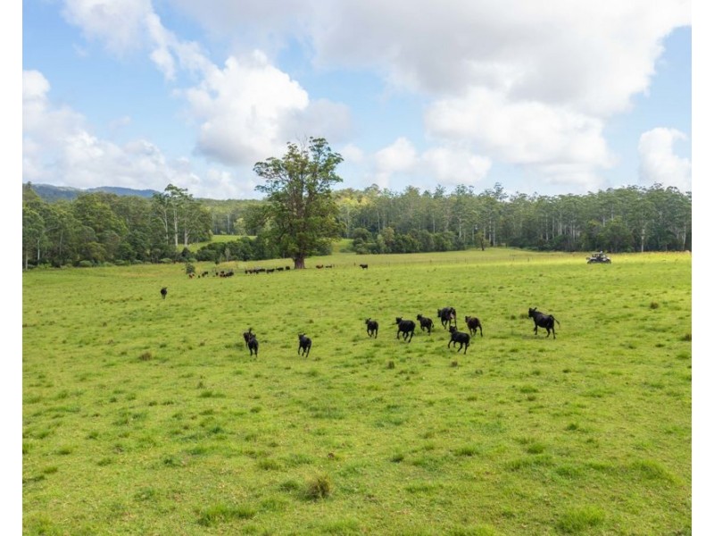 876 SMITHS CREEK ROAD, Kundabung NSW 2441
