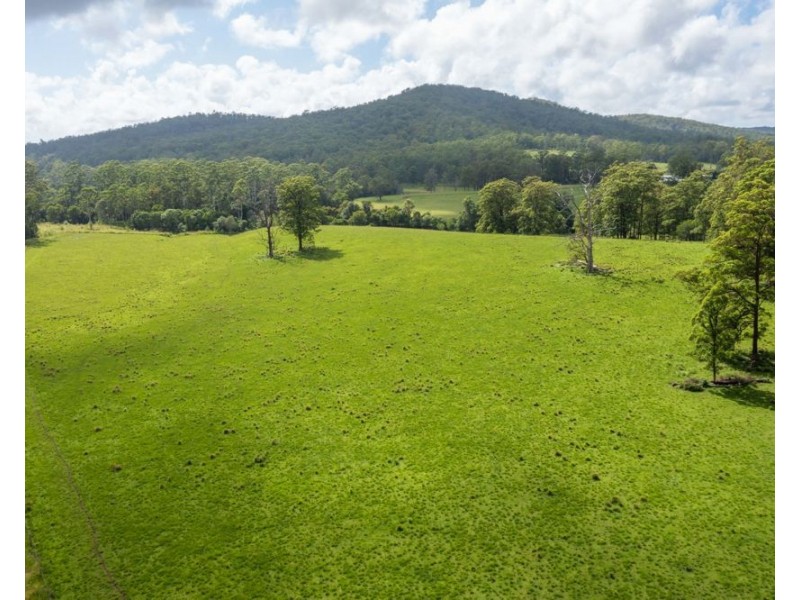 876 SMITHS CREEK ROAD, Kundabung NSW 2441