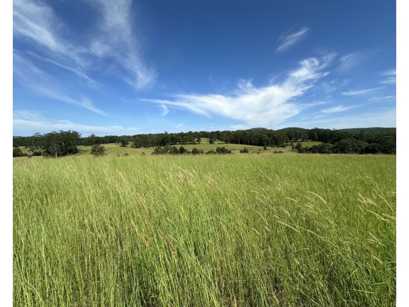 150 Tower Rd, Pembrooke NSW 2446