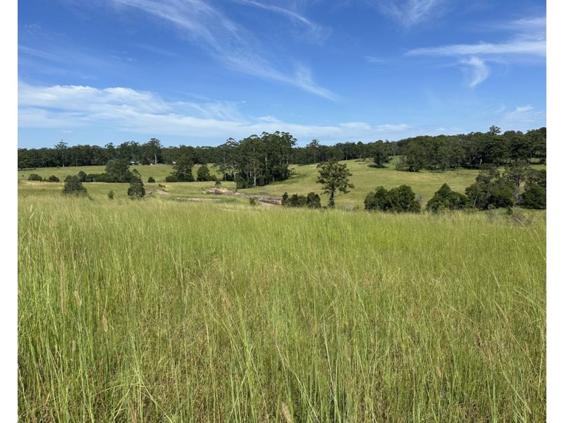 150 Tower Rd, Pembrooke NSW 2446