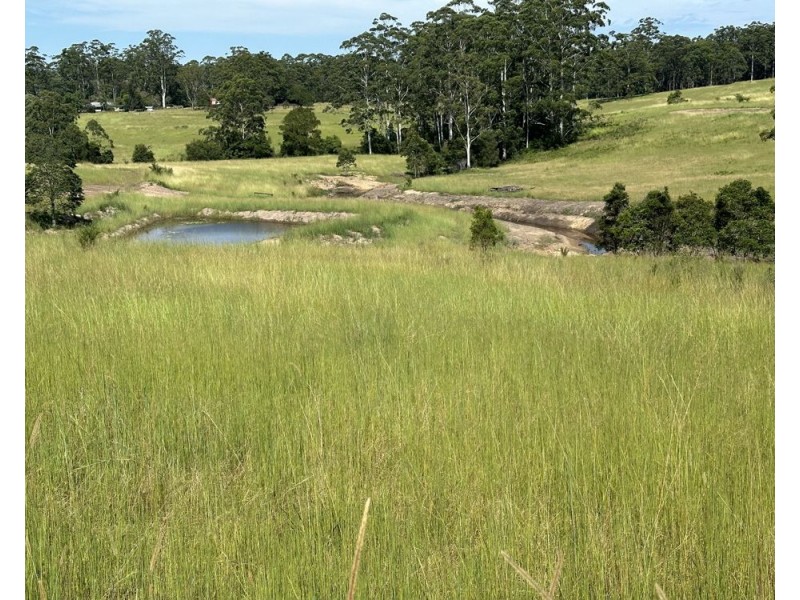 150 Tower Rd, Pembrooke NSW 2446