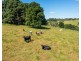 872 Innes View Road, Comboyne NSW 2429