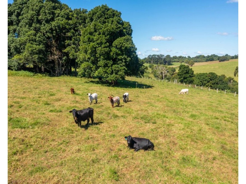 872 Innes View Road, Comboyne NSW 2429