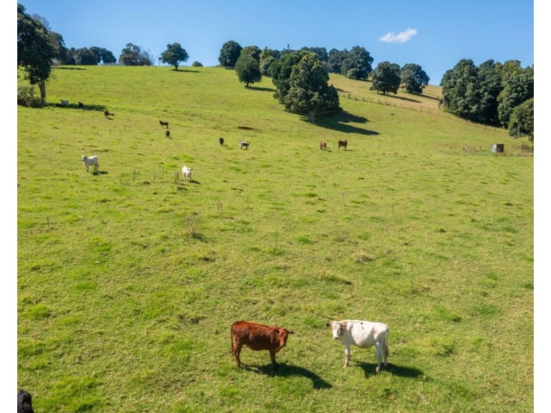 872 Innes View Road, Comboyne NSW 2429