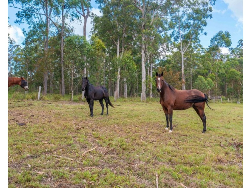 137 Appletree Drive, Kundabung NSW 2441