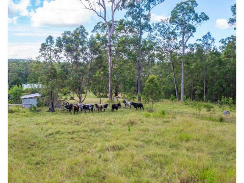 137 Appletree Drive, Kundabung NSW 2441