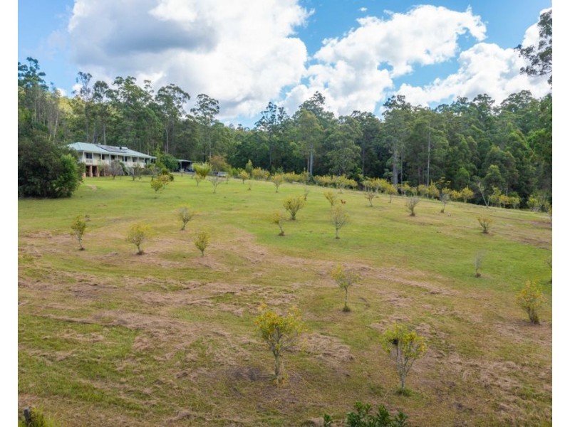 137 Appletree Drive, Kundabung NSW 2441