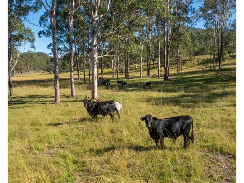 Lower Creek NSW 2440