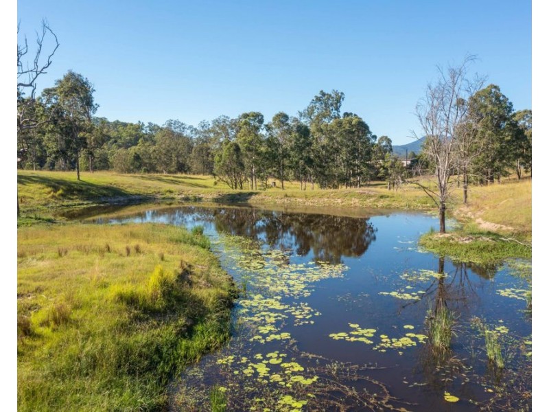 Lower Creek NSW 2440