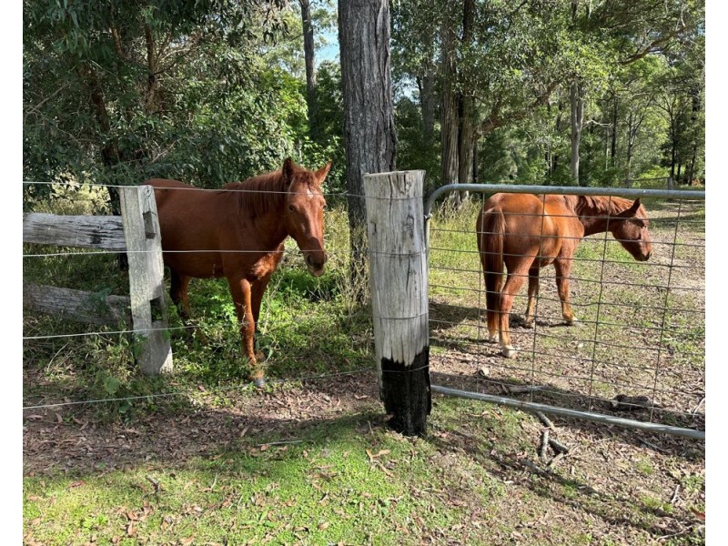 1055 Pappinbarra Road, Lower Pappinbarra NSW 2446