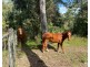 1055 Pappinbarra Road, Lower Pappinbarra NSW 2446