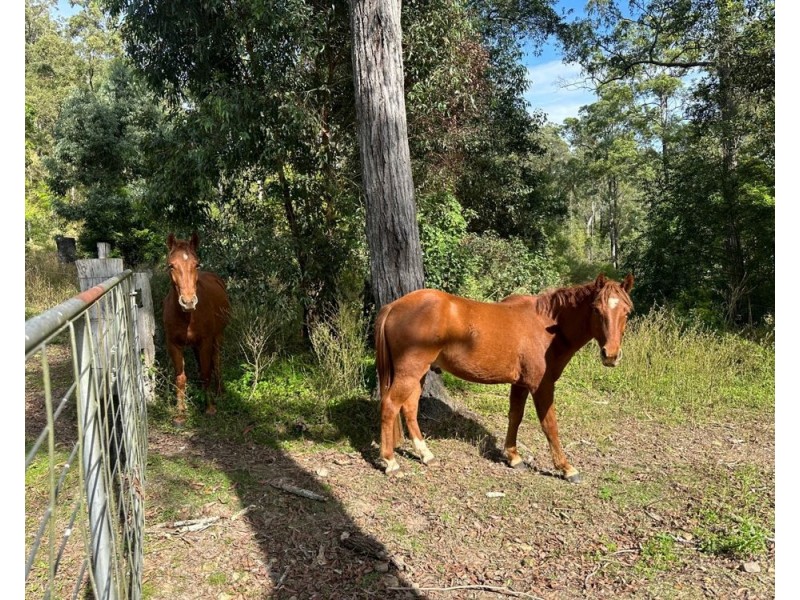 1055 Pappinbarra Road, Lower Pappinbarra NSW 2446