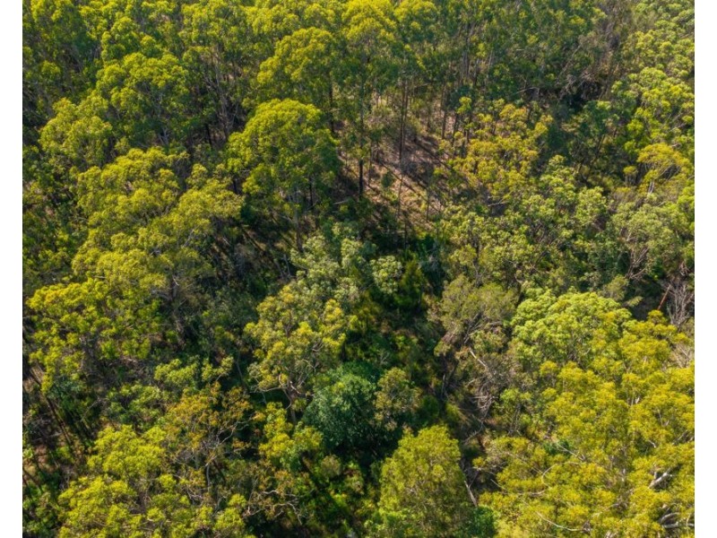 74 Lukes Lane, Barraganyatti NSW 2441