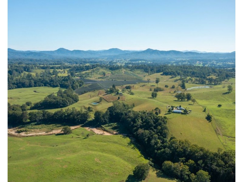 55 Lower Buckrabendinni Road, Bowraville NSW 2449