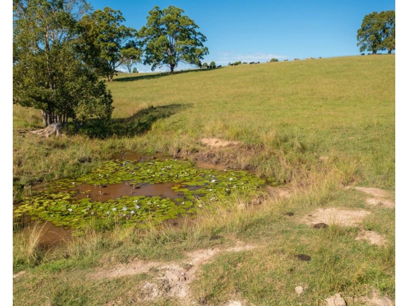 55 Lower Buckrabendinni Road, Bowraville NSW 2449