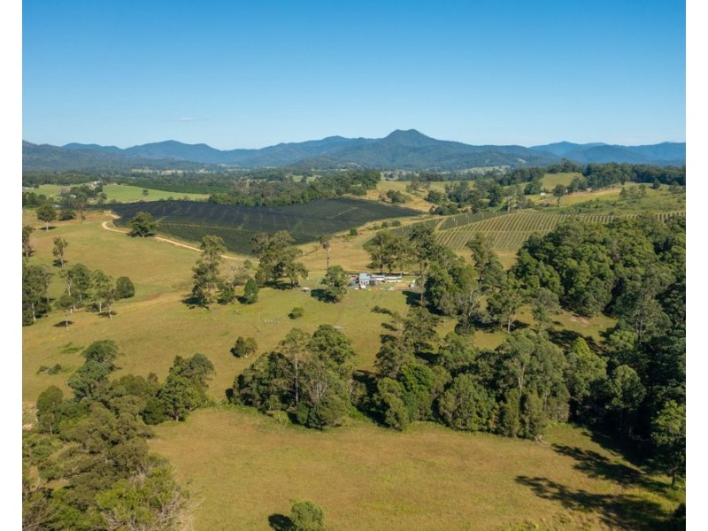 55 Lower Buckrabendinni Road, Bowraville NSW 2449