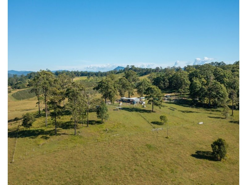 55 Lower Buckrabendinni Road, Bowraville NSW 2449