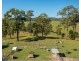 55 Lower Buckrabendinni Road, Bowraville NSW 2449