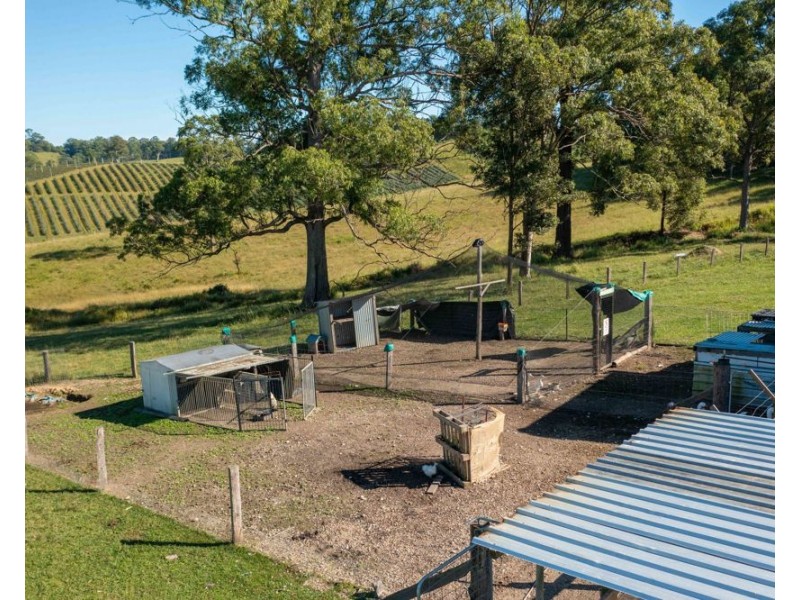 55 Lower Buckrabendinni Road, Bowraville NSW 2449