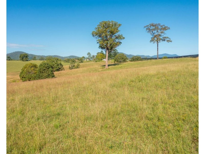 55 Lower Buckrabendinni Road, Bowraville NSW 2449