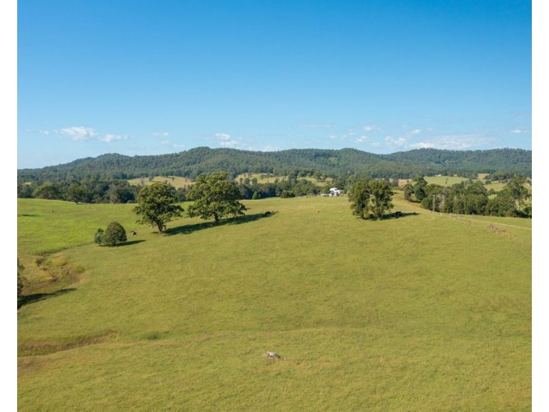 55 Lower Buckrabendinni Road, Bowraville NSW 2449