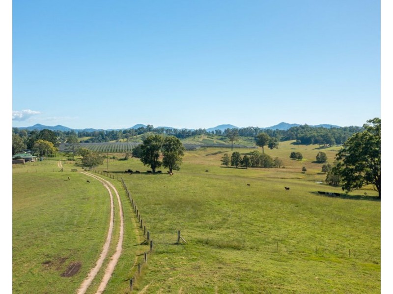 55 Lower Buckrabendinni Road, Bowraville NSW 2449