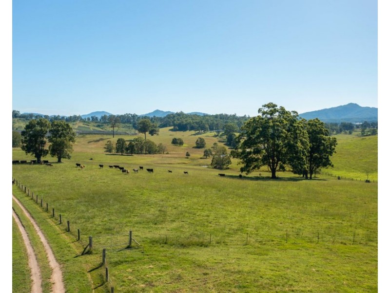 55 Lower Buckrabendinni Road, Bowraville NSW 2449