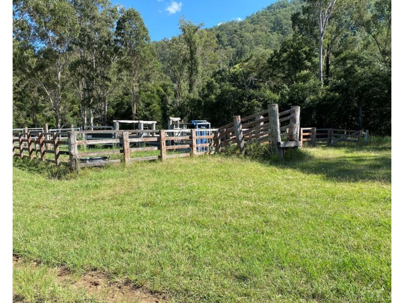 125 Jasper Creek Road, Mount Seaview NSW 2446