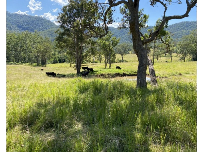 125 Jasper Creek Road, Mount Seaview NSW 2446