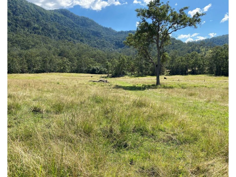 125 Jasper Creek Road, Mount Seaview NSW 2446