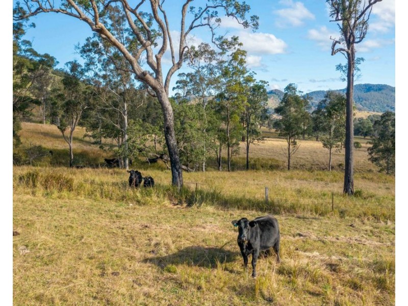 125 Jasper Creek Road, Mount Seaview NSW 2446