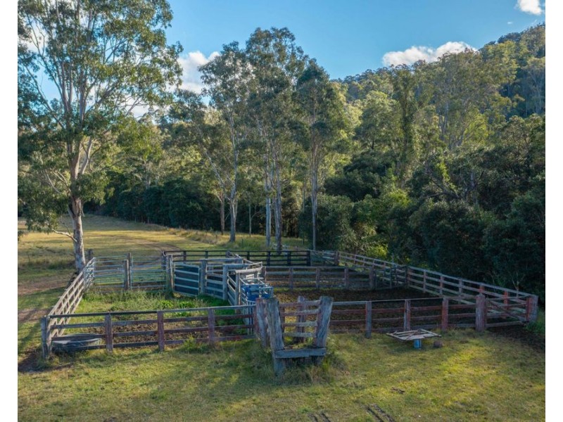 125 Jasper Creek Road, Mount Seaview NSW 2446