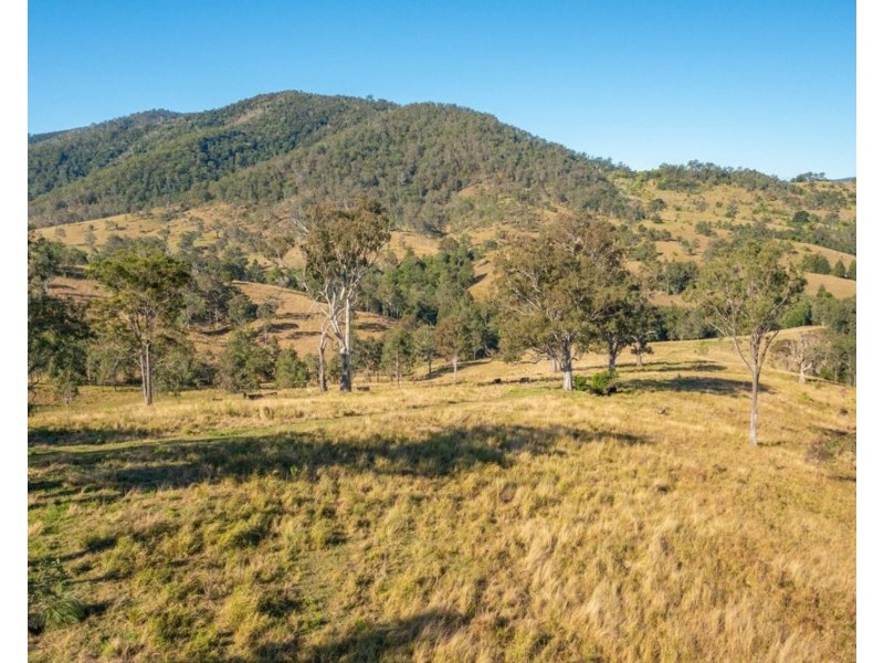 125 Jasper Creek Road, Mount Seaview NSW 2446