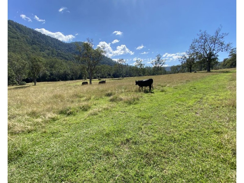 Lot 64 Careys Road, Mount Seaview NSW 2446