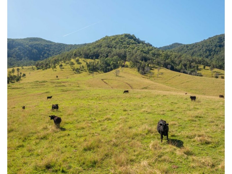 Lot 64 Careys Road, Mount Seaview NSW 2446