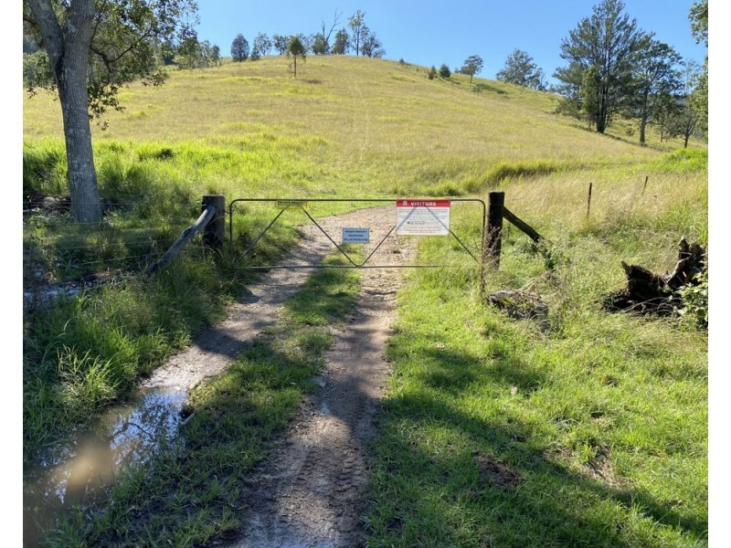 Lot 65 Jasper Creek Road, Mount Seaview NSW 2446