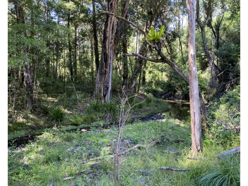 Lot 65 Jasper Creek Road, Mount Seaview NSW 2446