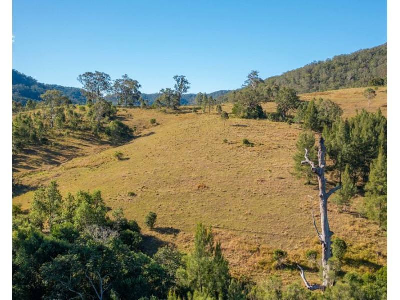 Lot 65 Jasper Creek Road, Mount Seaview NSW 2446